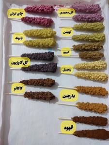 نبات چوبی گیاهی