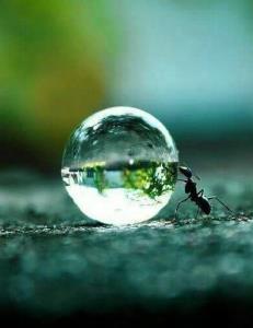 اونی که تو......