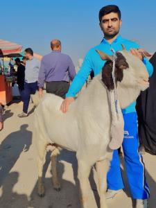 لطفا کابینت بدهین نظر خودتون را اعلام کنید 😅