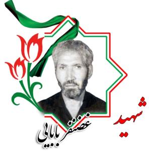 شهدا را یاد کنیم با ذکر صلوات.