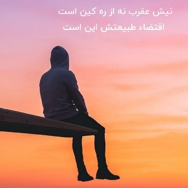  امام صادق علیه السلام: از حسـد ورزى به یکـدیگـر بپـرهیزیـد،