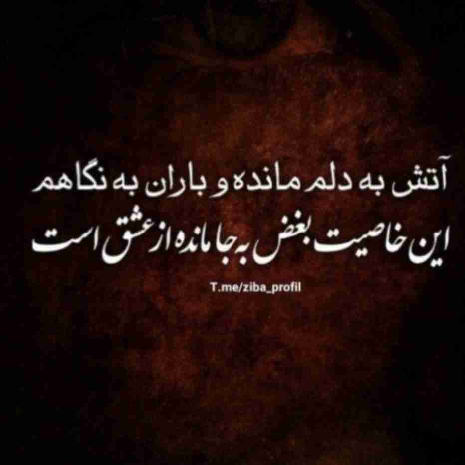 این ویرانه‌‌خانه را ابادکن ✔️