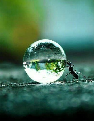 اونی که تو......