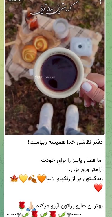 شبتون خوش