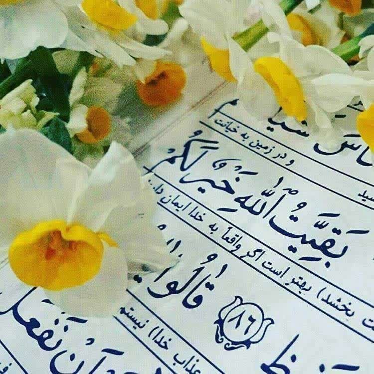 السلام علیک یا فاطمه‌الزهرا

مادرم خورد بر زمیـــن یک روز