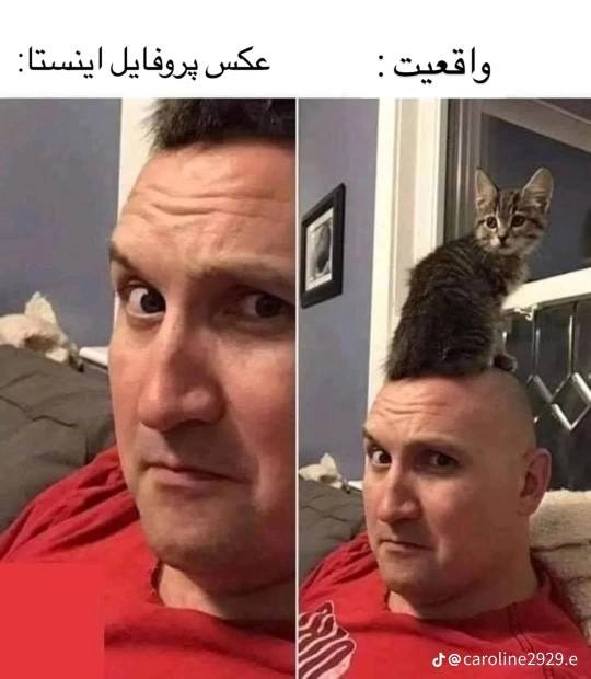 گل بخودی 👀😂