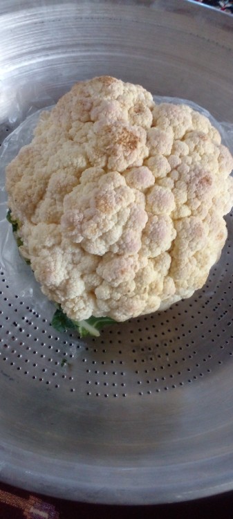 سلام گلیا بریم واسه درست کردن ترشی بسم الله 