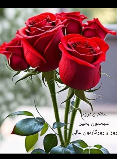 سلام روزتان رایاد خدا آغاز کنید