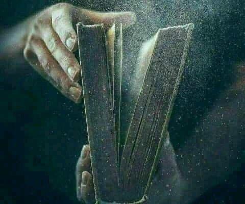 یوسف گم گشته ...