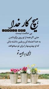 الهی به امید خودت🤲♥️