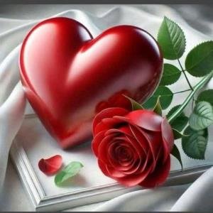 سعید🌟🌟🌟