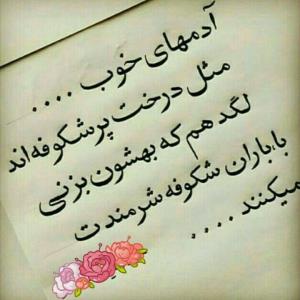 همیشه سعی کردم ادم خوبی باشم و مهربون🙏