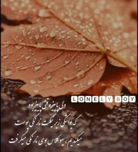 یادش بخیر 🌹