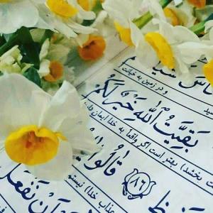 السلام علیک یا فاطمه‌الزهرا

مادرم خورد بر زمیـــن یک روز