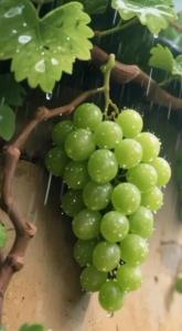  سلام وری ماهتون حالتون چطوره