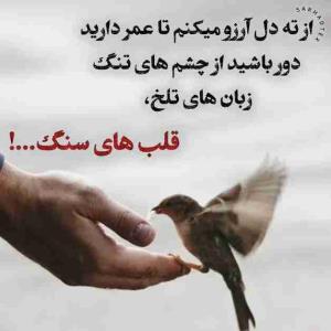 الهی آمین 🤲🏻🪴🪴🌹