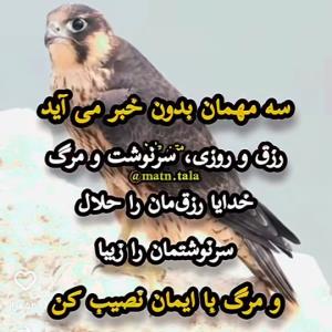 سه مهمان بدون خبر می آید