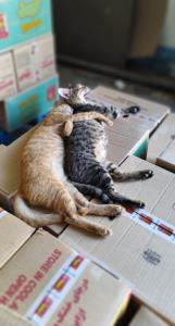 عشقای من در محل کار ♥️🤦‍♂️