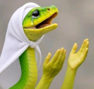 خبری چاپ کن لطفا دارم آرزوی خوشبختی میکنم🥺🙏