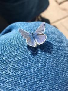 دست و پا گم کرده ای دیدم, دلم آمد به یاد‌...🍃