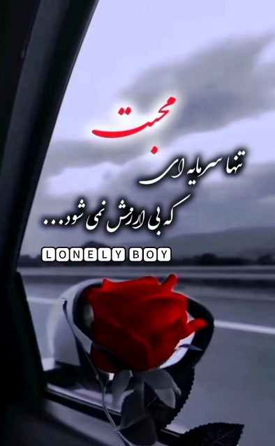 محبت 🌹❤️❤️🌹