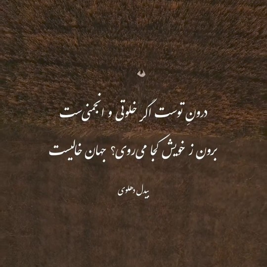 تو چو یوسفی ولیکن به درون نظر نداری✨🌱💯