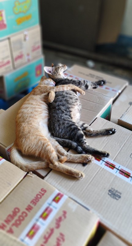 عشقای من در محل کار ♥️🤦‍♂️