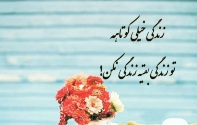 🌹🏝️🌹🏝️🌹🏝️🌹