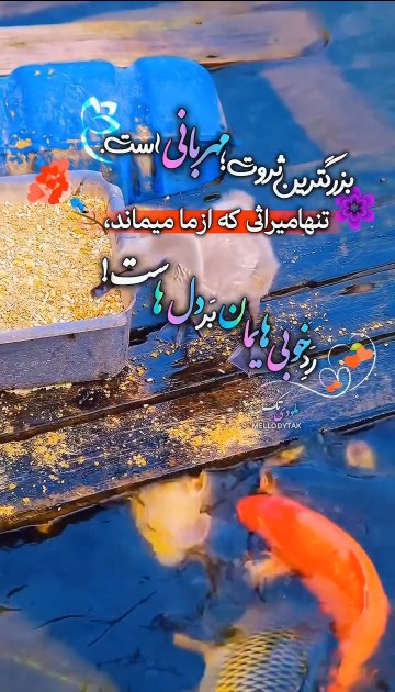الهی همیشه لبریز از مهربانی باشیم 🤲🌹🌻🌹🌻🌹🌻