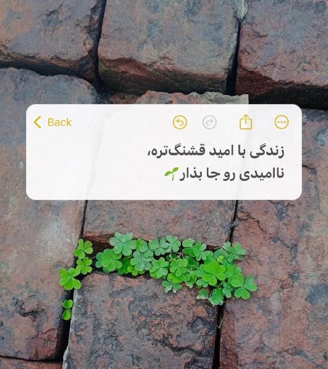 امید در زندگی