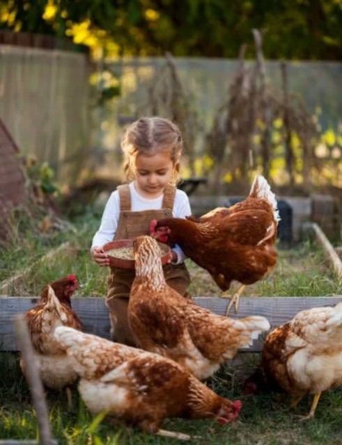 روزتون ب همین زیبایی تصویر