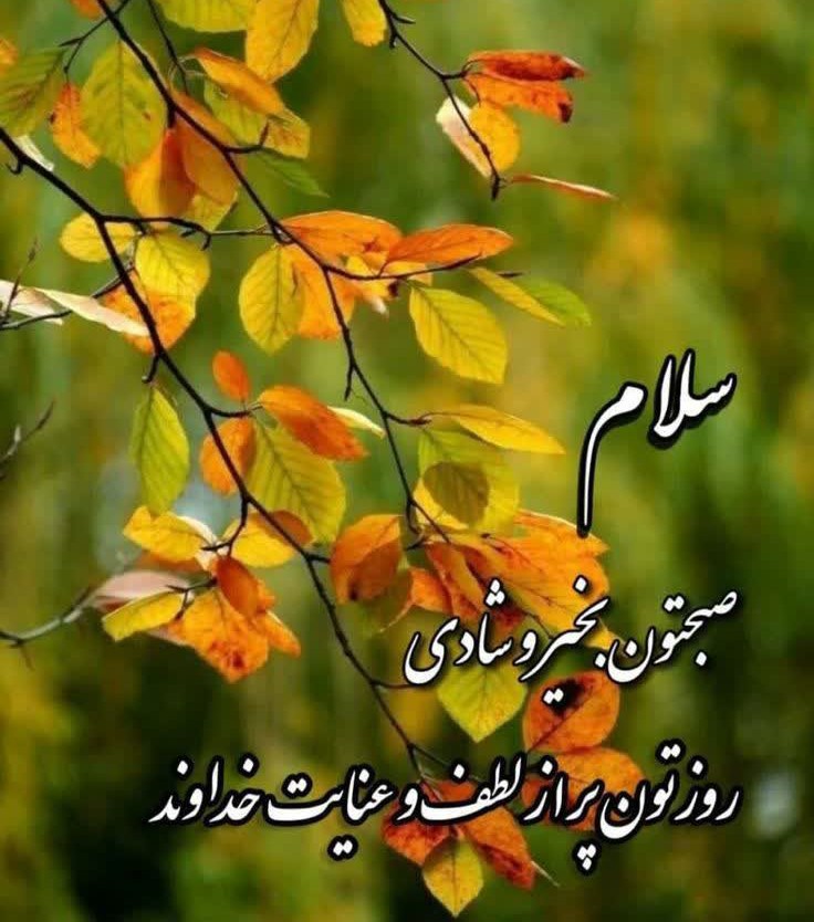 🍁صبح بخیر 🥱🥱🍁🍁🌹