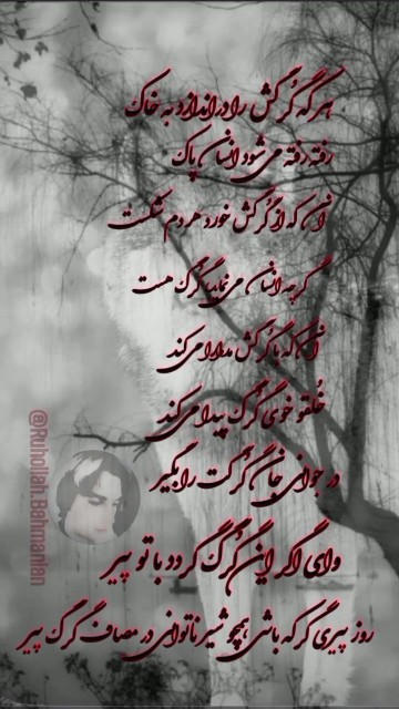 گرگ ، نفس سرکش خودت رو در جوانی بکُش !