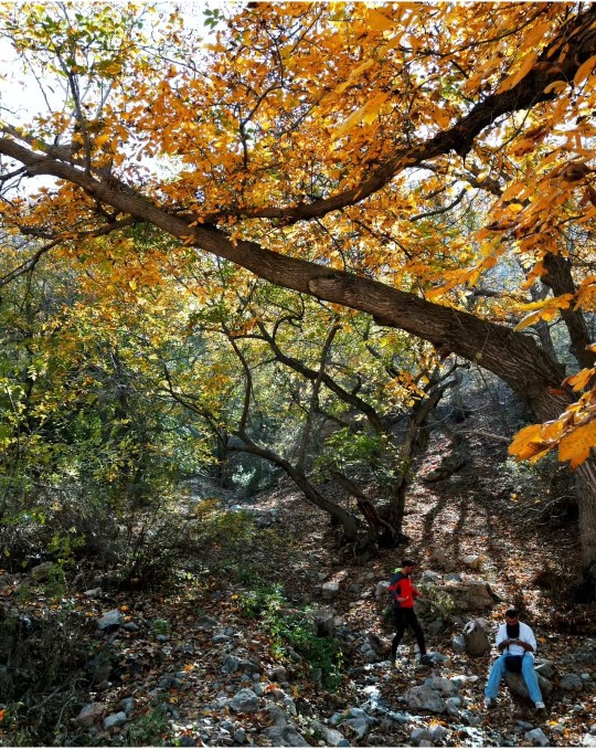 واما نقاشی خدا 