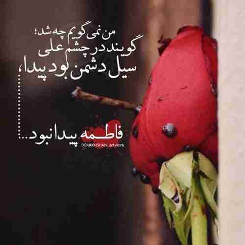 ❣️مدینه در دهان شب فرو رفته است، مسلمانان همه خفته ‌اند. سکوت مرموز شب گوش به گفت‌وگوی آرام علی دارد.
و علی که سخت تنها مانده است، هم در شهر و هم در خانه ، بی ‌پیغمبر، بی ‌فاطمه. همچون کوهی از درد، بر سر خاک فاطمه نشسته است....🖤🖤🖤