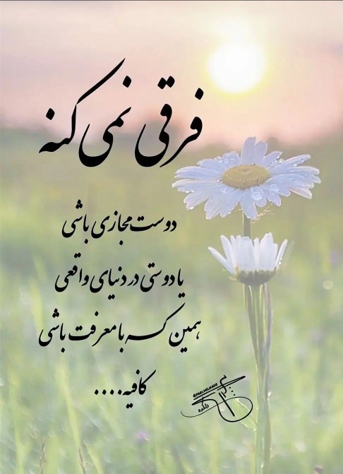 🌻🌻🌻🌻🌻🌻🌻