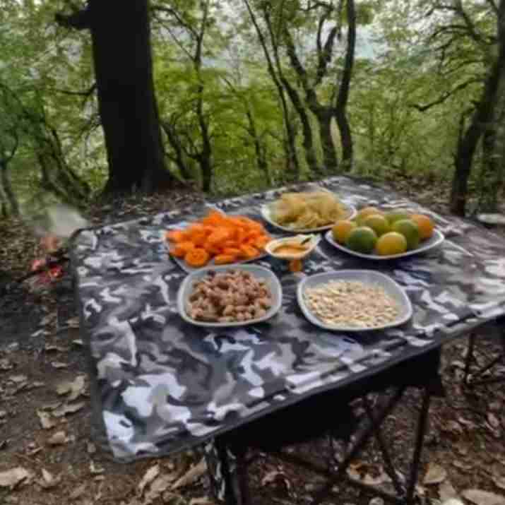 واقعا جاتون خالی 