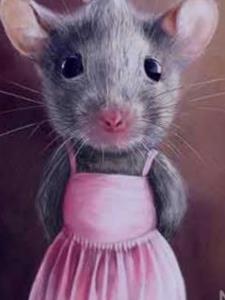 رند شدی سپیده مبارک😪🤣😂🏃‍♂️🏃‍♂️🏃‍♂️🏃‍♂️