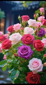 به هر کس که دوسش دارید تقدیم کنید 👌⚘🦋