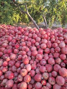 یه خسته نباشی بهمون نمیگید!!!