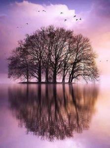 ✨امشب خواهم اندیشید
⭐️تا خدا هست
✨هیچ لحظه ای 
⭐️آنقدر سخت ن