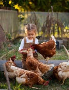 روزتون ب همین زیبایی تصویر