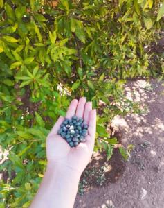 سلام  بفرمایید بنه