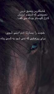 برای روزای که نمی‌شود به کسی پناه ببری ☝️🤙