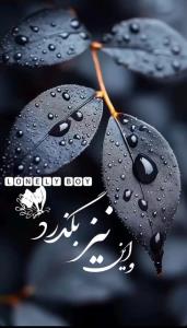 چو میگذرد غمی نیست !!!!