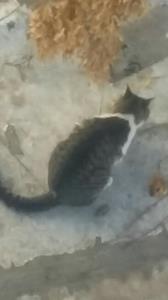 دخمل خوشگلمه ازبچگی بزرگش کردم🙋