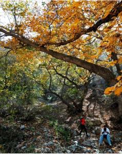 واما نقاشی خدا 