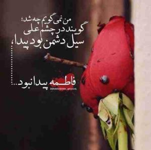 ❣️مدینه در دهان شب فرو رفته است، مسلمانان همه خفته ‌اند. سکوت مرموز شب گوش به گفت‌وگوی آرام علی دارد.
و علی که سخت تنها مانده است، هم در شهر و هم در خانه ، بی ‌پیغمبر، بی ‌فاطمه. همچون کوهی از درد، بر سر خاک فاطمه نشسته است....🖤🖤🖤