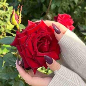 😉😉😉🌊🌊👍