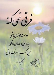 🌻🌻🌻🌻🌻🌻🌻